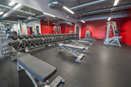 På Fresh Fitness-treningssenteret på Tiller kan du trene med et bredt utvalg av frivekter for å styrke og tone musklene dine. Frivekter er et viktig verktøy for å bygge muskelmasse, øke styrke og forbedre kroppens funksjonalitet.