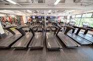 Få fart på kondisjonstreningen din på Fresh Fitness Haugerud med våre førsteklasses tredemøller og StairMaster-maskiner i kardiosonen. Brenn kalorier, forbedre din utholdenhet og øk hjertefrekvensen din med vår moderne kardiosone.