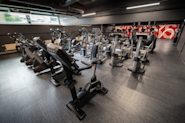 På Fresh Fitness treningssenter på Manglerud tilbyr vi et bredt utvalg av kardiomaskiner, inkludert topptrente ellipsemaskiner og sykler. Disse maskinene er designet for å gi deg en effektiv og motiverende kardiotrening som passer for alle fitnessnivåer.