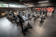 På Fresh Fitness treningssenter på Manglerud tilbyr vi et bredt utvalg av kardiomaskiner, inkludert topptrente ellipsemaskiner og sykler. Disse maskinene er designet for å gi deg en effektiv og motiverende kardiotrening som passer for alle fitnessnivåer.
