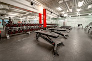 Styrk musklene dine på Fresh Fitness Haugerud med vårt utvalg av frivekter og manualer i vår dedikerte styrkesone. Kjenn på den friheten det gir å trene med frivekter og skreddersy ditt eget treningsprogram.