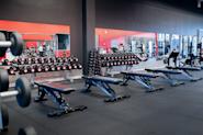 På Fresh Fitness treningssenter i Vågsbygd, Kjos, tilbyr vi et variert utvalg av frivekter for de som ønsker å styrke og forme kroppen. Våre frivekter inkluderer alt fra håndvekter og vektstenger til kettlebells og vektplater, slik at du kan utføre et bredt spekter av styrke- og vektøvelser.