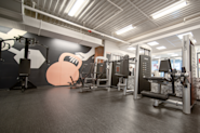 Utforsk det toppmoderne utvalget av treningsapparater hos Fresh Fitness Haugerud - ta din trening til neste nivå og oppnå resultater du drømmer om.