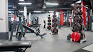 Frivektsområde med et bredt utvalg av styrkeapparater hos Fresh Fitness treningssenter i Lillesand. Våre moderne og effektive styrkeapparater gir deg muligheten til å trene hver muskelgruppe på en trygg og effektiv måte.