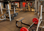 På Fresh Fitness-treningssenteret i Tønsberg tilbyr vi et bredt utvalg av frivekter for styrketrening. Frivekter er et effektivt verktøy for å bygge muskler, øke styrken og forbedre kroppssammensetningen.