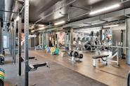 På Fresh Fitness-treningssenteret på Lindeberg tilbyr vi et komplett utvalg av utstyr for styrketrening, inkludert frivekter og knebøystativ. Vårt frivektsområde har et bredt utvalg av vekter, manualer og utstyr for å tilfredsstille alle dine styrketreningsbehov.