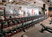 Ta treningen til nye høyder med våre manualer på Fresh Fitness Lier treningssenter. Vårt varierte utvalg av manualer gir deg muligheten til å skape en skreddersydd styrketreningsøkt som passer dine behov og mål.