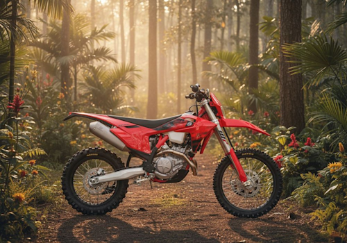 GasGas EC 500 F Lifestyle2 Galgo