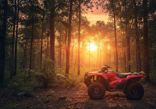 Honda TRX420FM Lifestyle2 Galgo