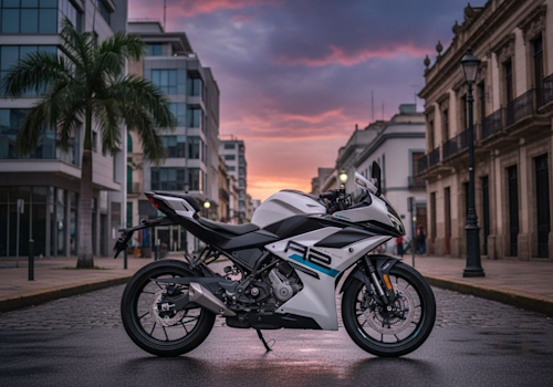 CF Moto 300SR-S Lifestyle2 Galgo