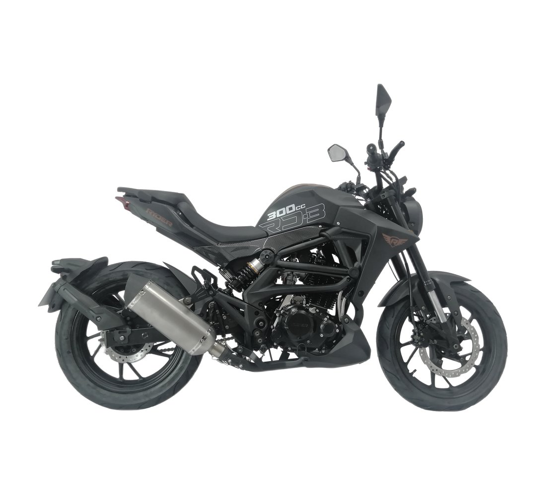 Ryder RD3 Galeria4 Galgo