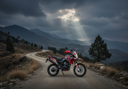 Italika DM 150 Lifestyle2 Galgo