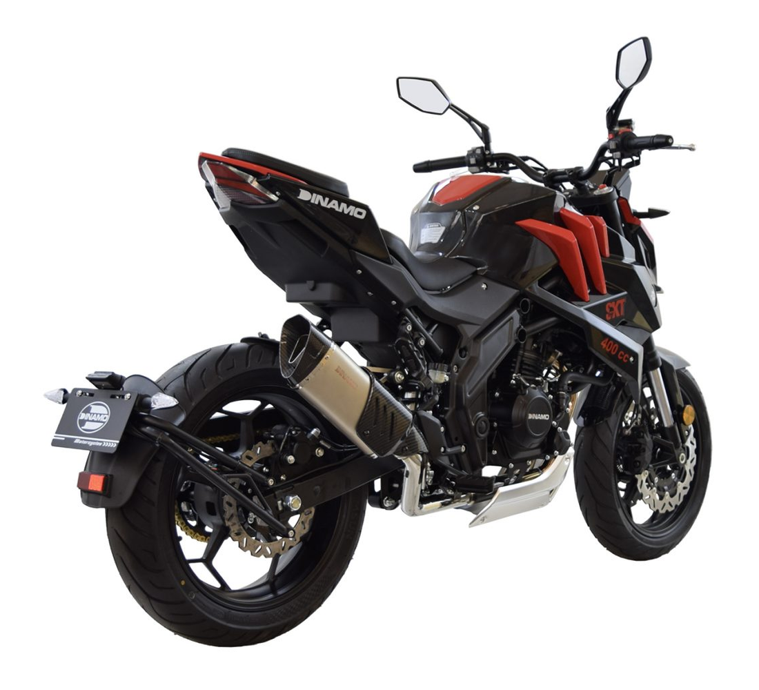 Dinamo Skeleton Galeria3 Galgo México