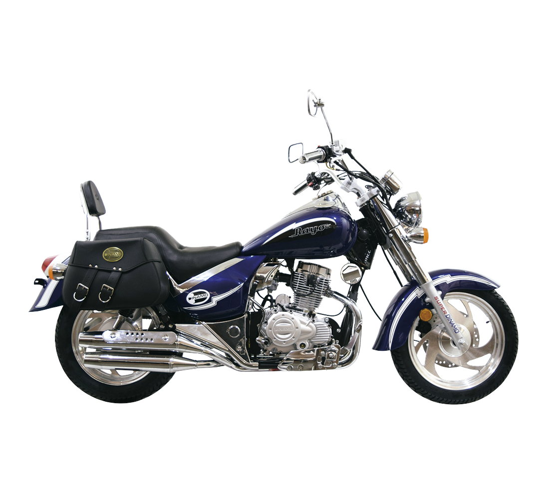 Dinamo Rayo 175 Galeria1 Galgo México