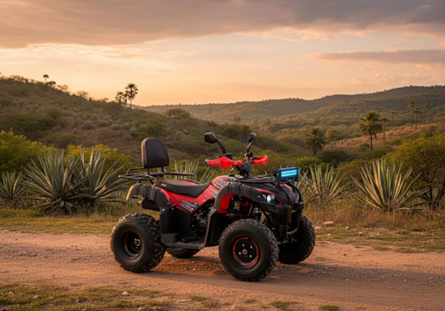 Veloci Beast KX4 Lifestyle2 Galgo