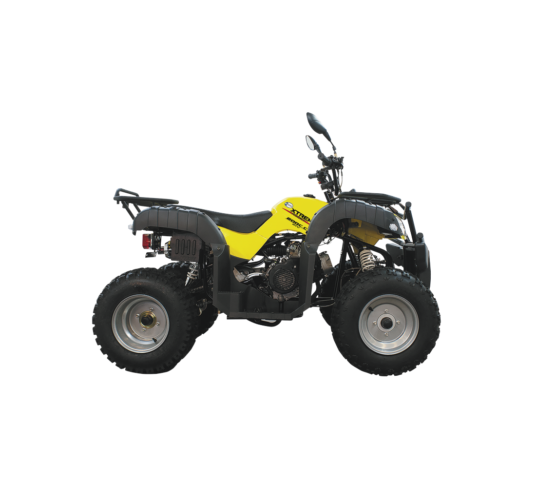 Dinamo Xtreme Rocky Galeria1 Galgo México