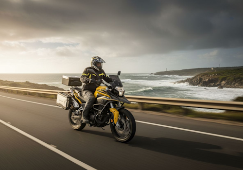 Zonsen RX3 Lifestyle3 Galgo