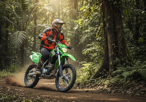Kawasaki KLX 300 R Lifestyle3 Galgo