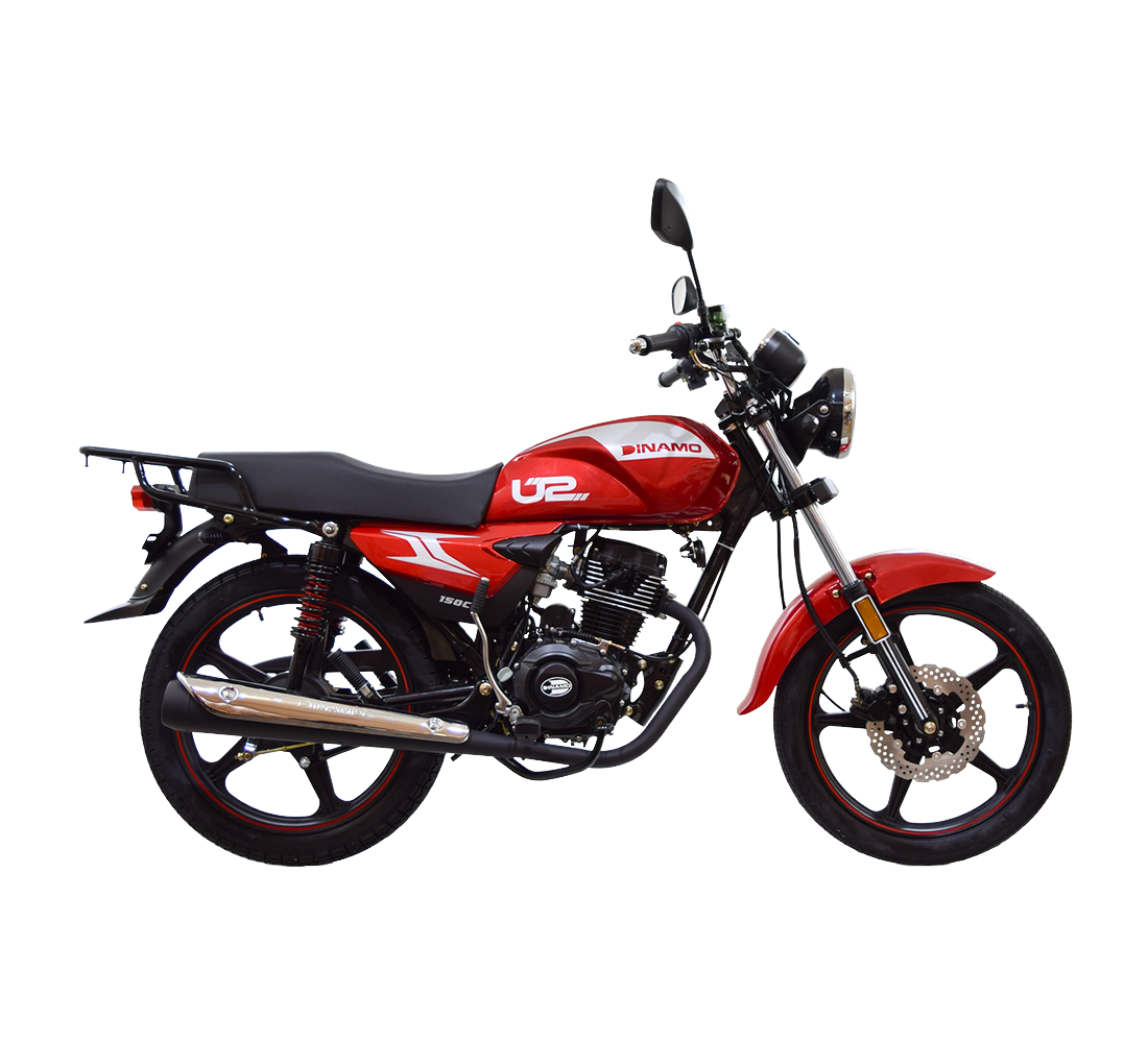 Dinamo U2 Galeria4 Galgo México