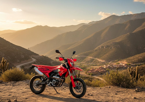 QJ Motor COV 125 Supermotard Lifestyle2 Galgo
