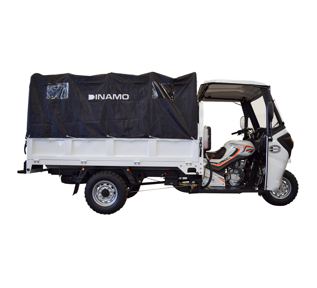 Dinamo Heavy CAB 300 M Galeria3 Galgo México