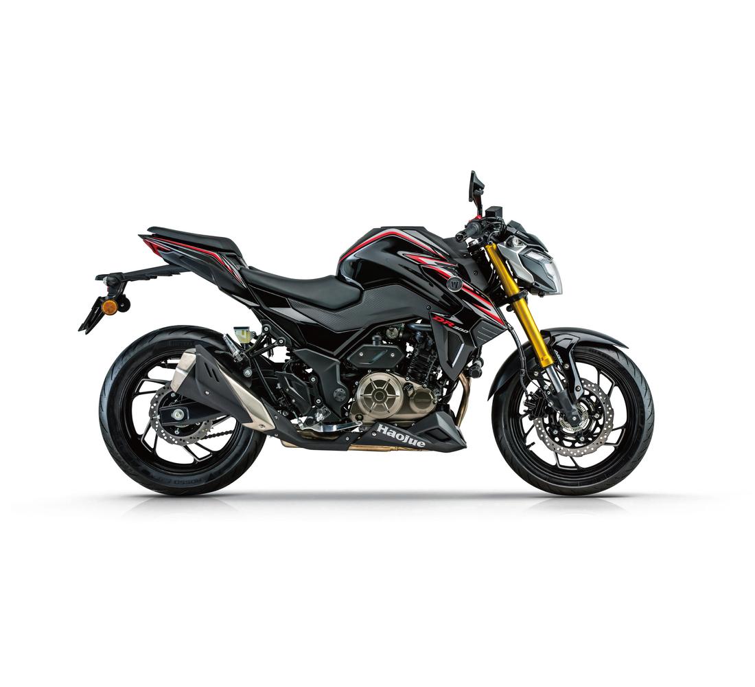 Bolton DR300 Galeria Galgo