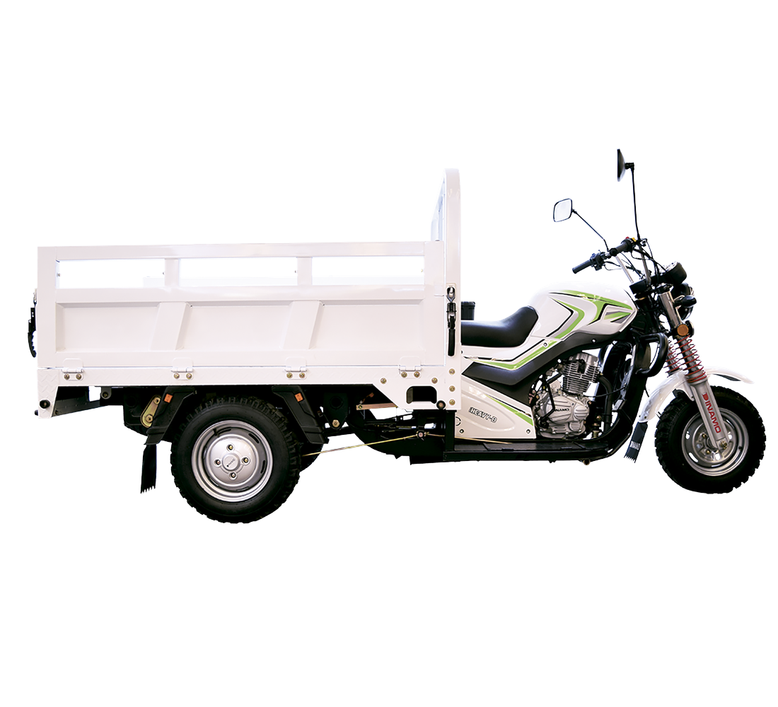 Dinamo Heavy-B Galeria2 Galgo México