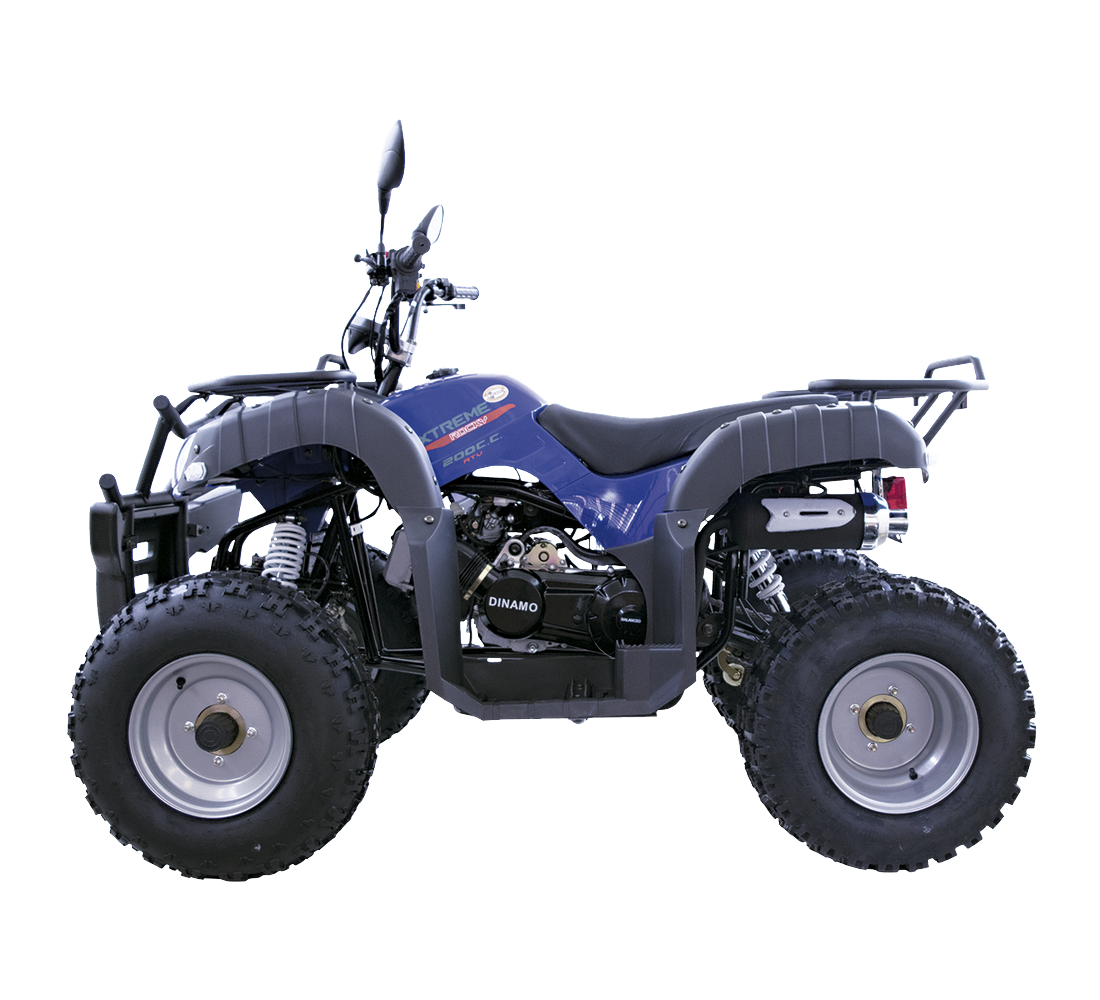 Dinamo Xtreme Rocky Galeria4 Galgo México