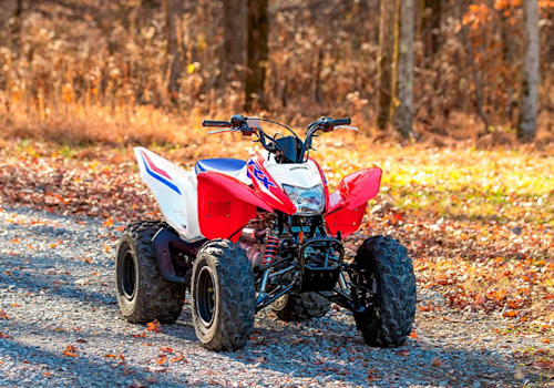 Honda TRX250X Lifestyle3 Galgo México