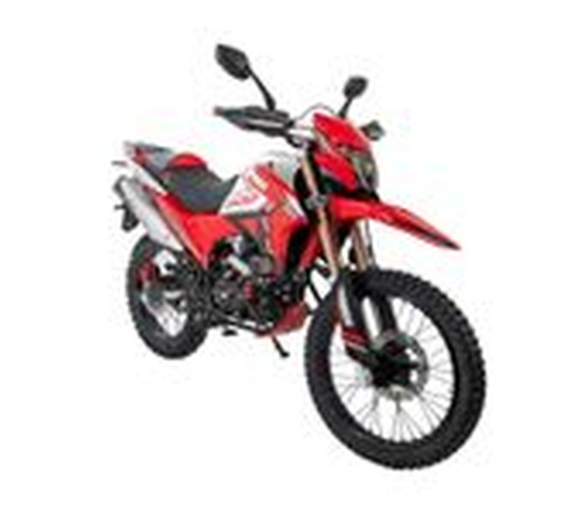 BDS Stark 300 Galeria1 Galgo México