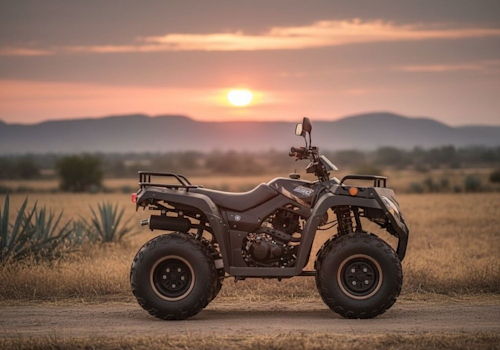 Italika ATV 250 Lifestyle2 Galgo