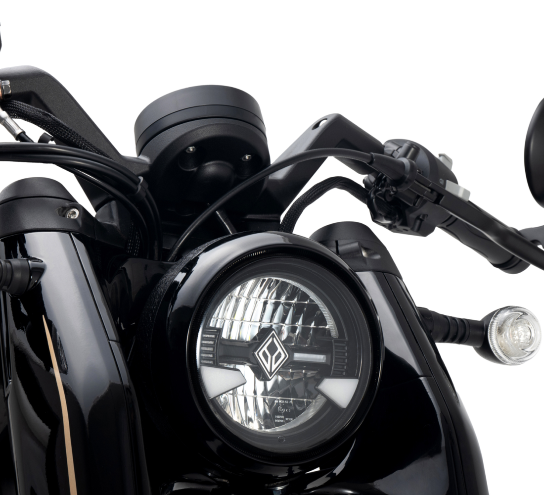 Benda Napoleon Bob 500 Galeria2 Galgo 