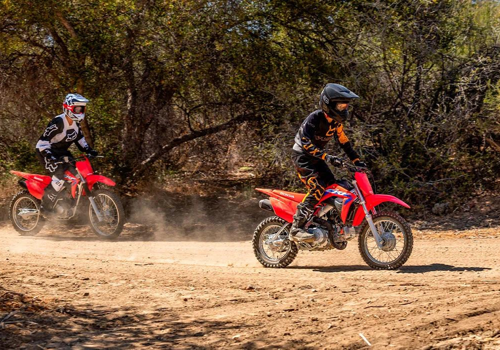 Honda CRF110F Lifestyle3 Galgo