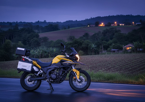 Zonsen RX3 Lifestyle2 Galgo