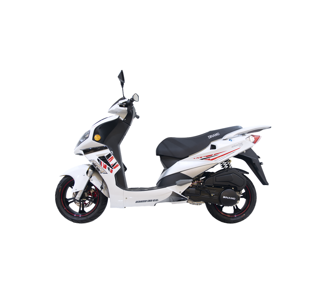 Dinamo Adventure Elite Galeria3 Galgo México