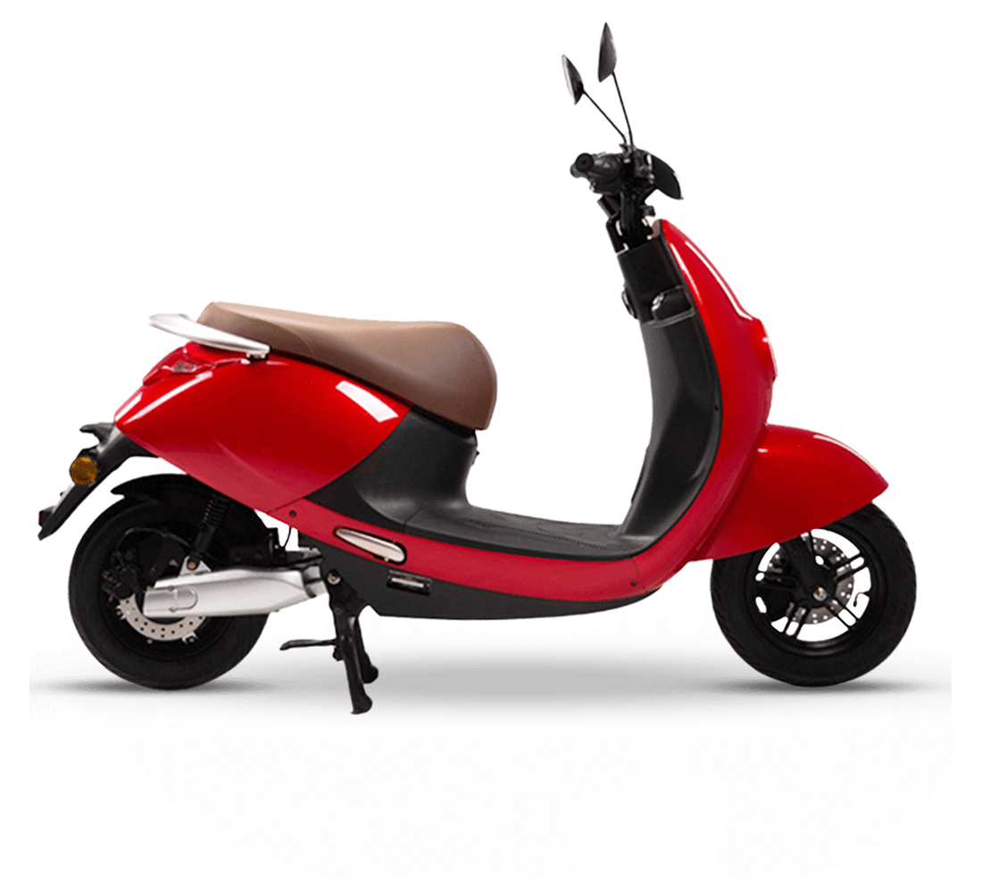 LVN LX 02 Galeria2 Galgo 