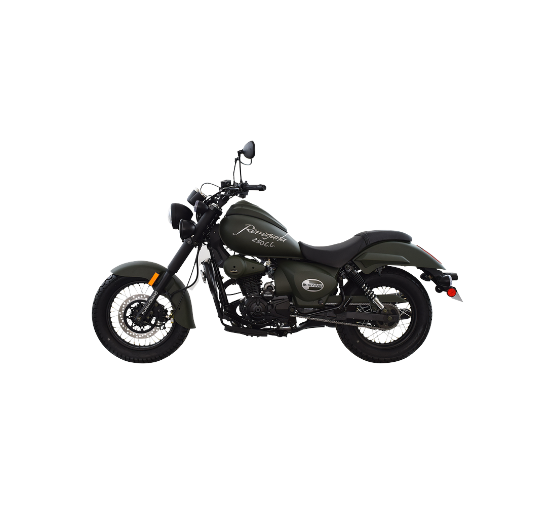 Dinamo Renegada 250 Galeria3 Galgo México