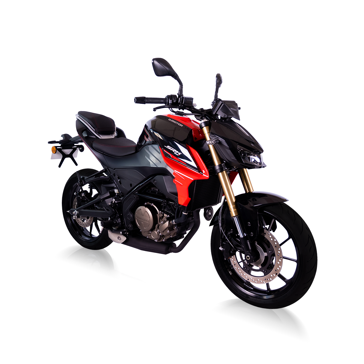 QJ Motor SRK 300 S Imagen principal Galgo