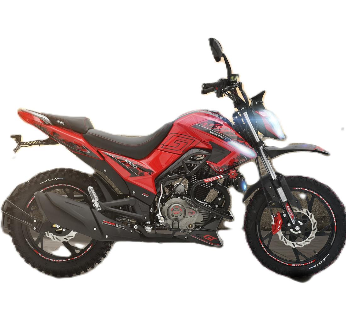 Veloci Snake Galeria1 Galgo