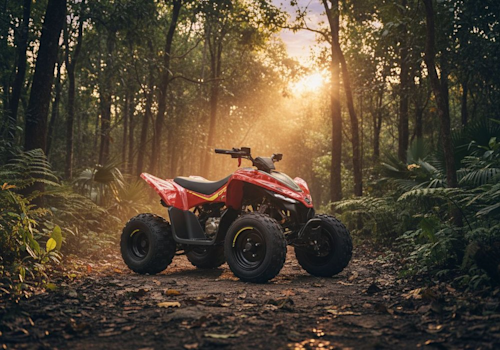 CF Moto CFORCE 110 Estandar Lifestyle2 Galgo