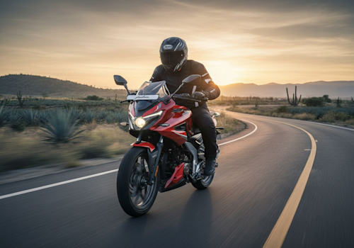 Bajaj Pulsar F250 Lifestyle3 Galgo