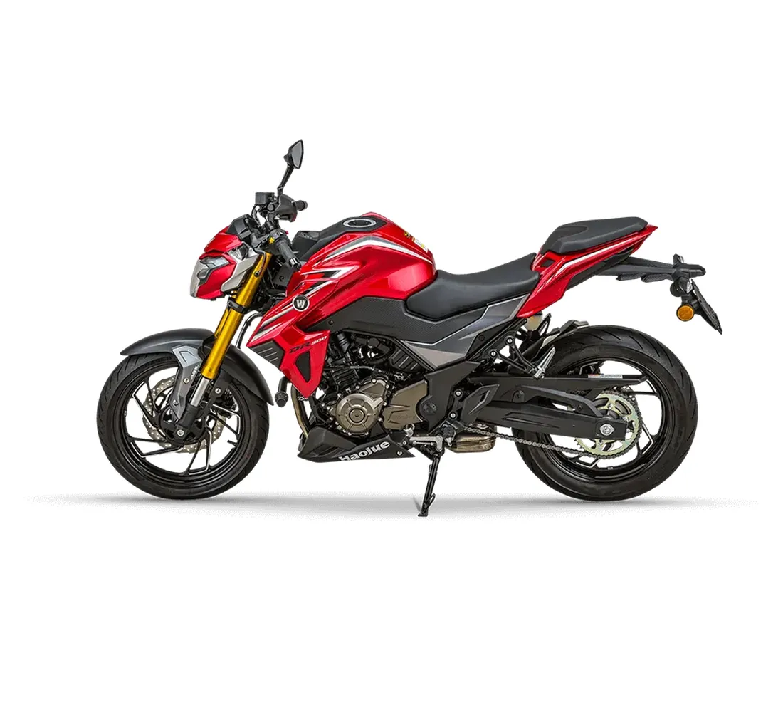 Bolton DR300 Galeria1 Galgo