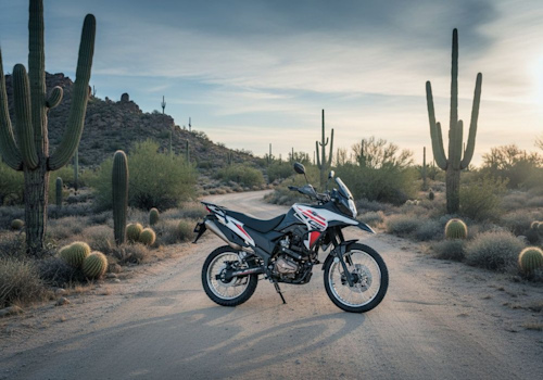 AKT Motos TT Dual Sport 200 Lifestyle2 Galgo