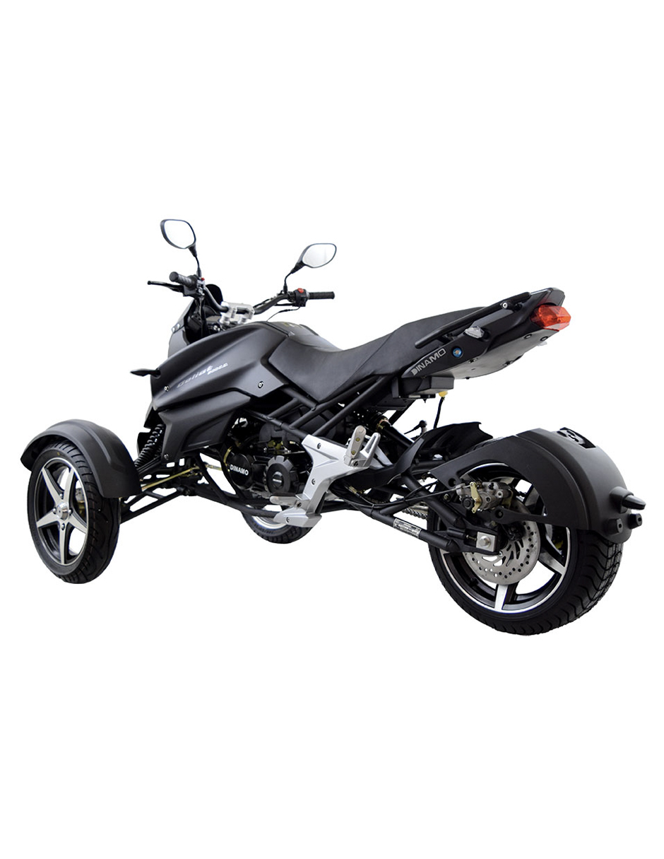 Dinamo Goliat Negro 2025 Galeria 3 | Galgo México