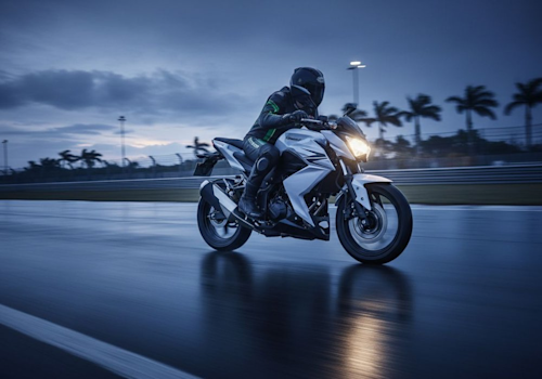 Kawasaki 250 Lifestyle1 Galgo