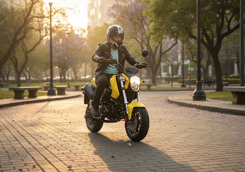 Dinamo Monkey Lifestyle3 Galgo