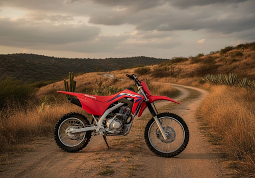 Honda CRF125F Lifestyle2 Galgo