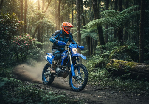Yamaha WR450F Lifestyle3 Galgo
