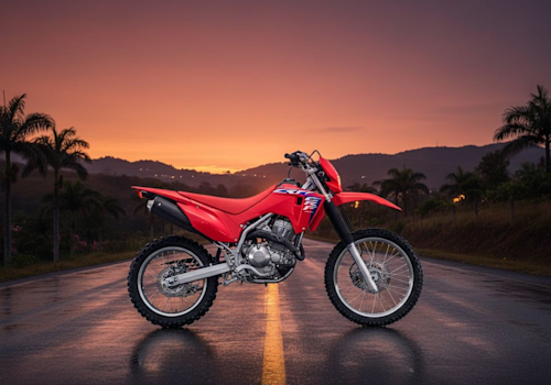 Honda CRF300F Lifestyle2 Galgo