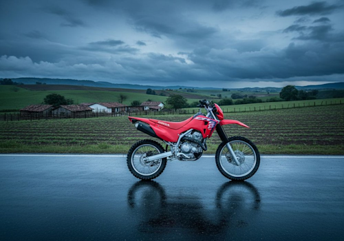 Honda CRF 300 F Lifestyle2 Galgo